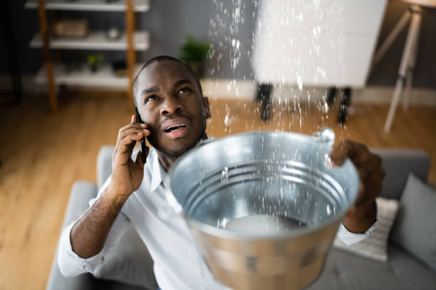 Best Water damage restoration experts  in Burton, MI