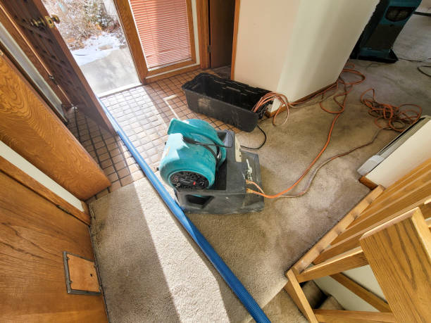 Water damage restoration experts in MI