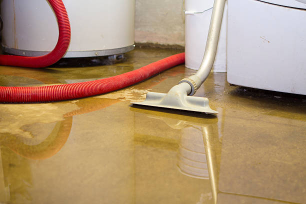 Best Professional water damage repair  in Burton, MI